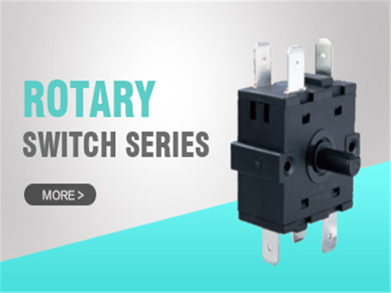Rotary Switch