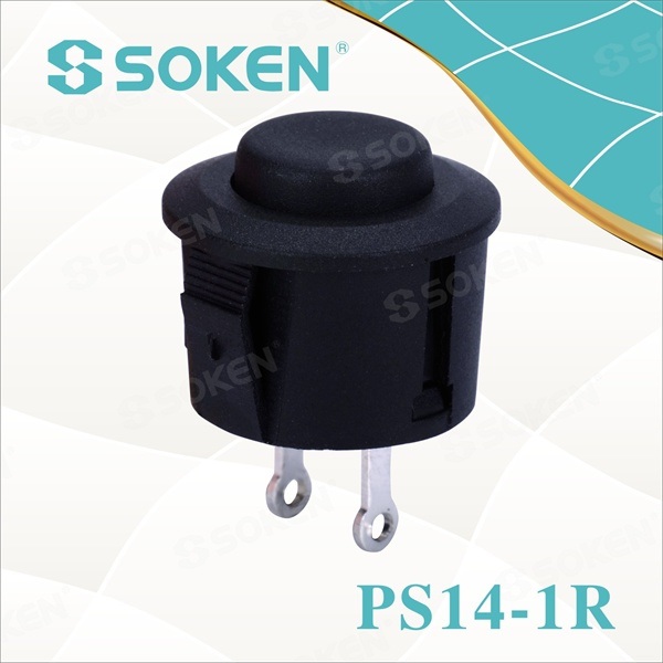 Professional Factory for Key Rotary Pushbutton -
 Small Push Button Switch – Master Soken Electrical